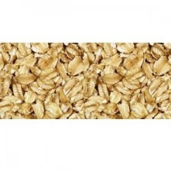 Grain Millers Regular Rolled Oats #5 (1x25LB )