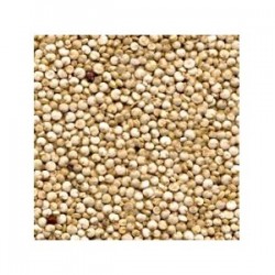 Grains Quinoa Bulk (1x25LB )