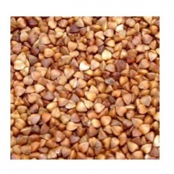 Grains Roasted Buckwheat(Kasha (1x25LB )
