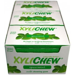 Xylichew Spearmint Gum, Display (24x12 PC)