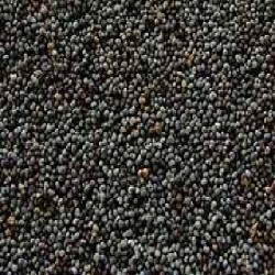 Seeds Poppy Seeds (1x5LB )