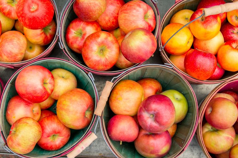 How to Make the Most of Apple Picking Season, According to Orchard Owners