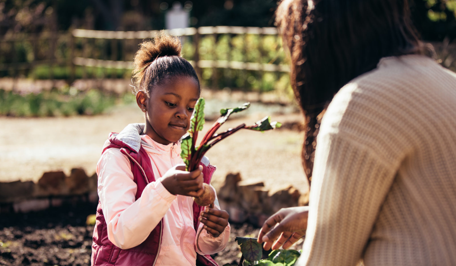 How to Introduce Your Kids to Vegan and Plant-Based Diets
